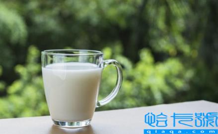 水牛奶和纯牛奶有什么区别(水牛奶和纯牛奶哪个更好)