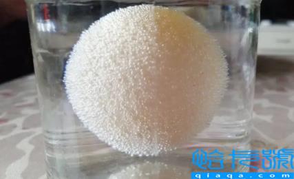 醋蛋液的功效与作用(醋蛋液的用法及用量)