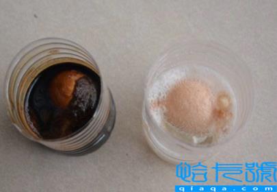 醋蛋液的功效与作用(醋蛋液的用法及用量)