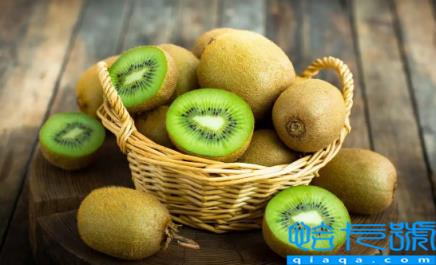 猕猴桃套的网袋要去掉吗(猕猴桃戴着网套会放坏吗)