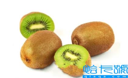猕猴桃套的网袋要去掉吗(猕猴桃戴着网套会放坏吗)