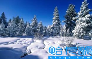 2022青岛冬天是旅游淡季还是旺季(冬天去青岛的人多不多)