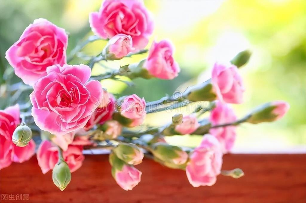 快来看看你属于什么花？(12星座守护花以及花语)