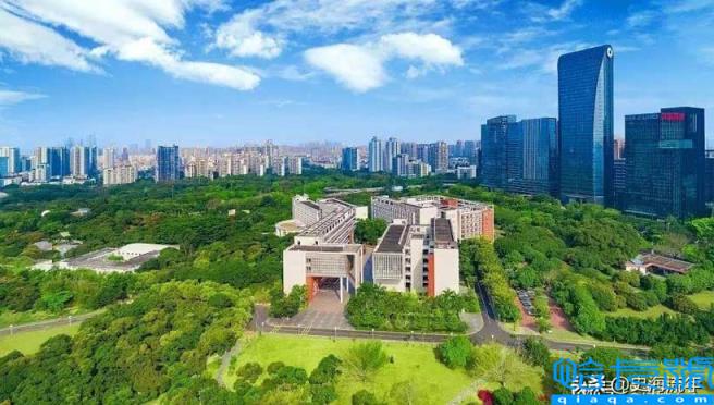 四非大学是什么意思(什么样的学校属于四非大学)