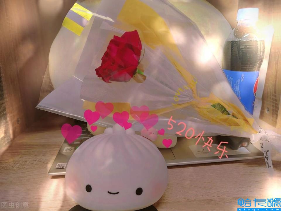 521数字代表什么意思(521与520的寓意有什么区别)