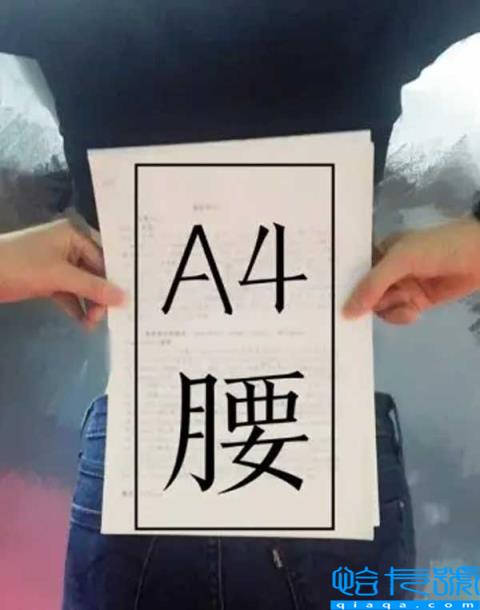 a4腰是什么意思(相当于几尺腰)