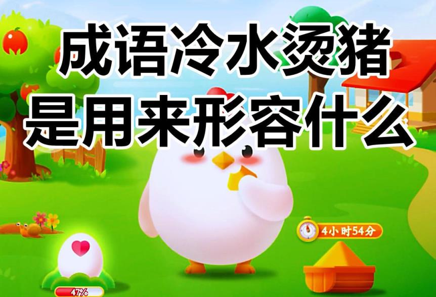 这句成语是用来形容什么的(冷水烫猪是什么意思啊)