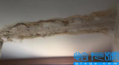 板楼的房子漏雨吗(老旧小区房屋漏水谁来负责维修)