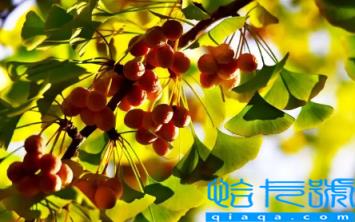 2022南京大概几月份天气变凉(南京天气入秋转凉是几月份到几月份)