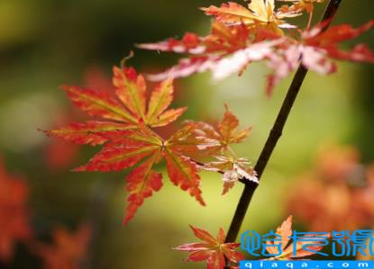 2022南京大概几月份天气变凉(南京天气入秋转凉是几月份到几月份)