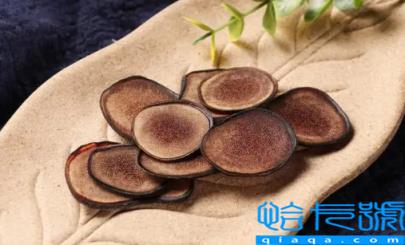 鹿茸的功效与作用及营养(鹿茸的正确吃法与用量)