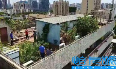 楼顶为什么不能种菜(楼顶种菜对房屋防水有影响吗)