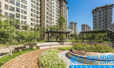 楼房最后一排是无靠山吗(楼房最后一排怎么破解)