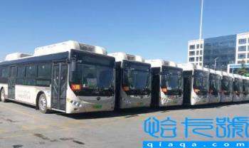 2022年大连11月份冷吗(大连11月温度一般几度)