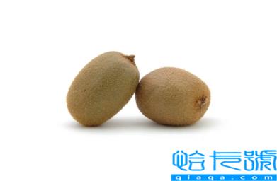 猕猴桃捂着熟的快还是敞开熟的快(猕猴桃捂着更容易熟吗)