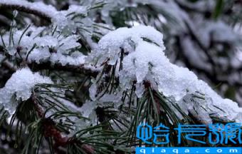 2022年大连11月会下雪吗(大连每年什么时候下雪)