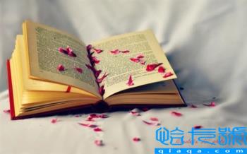 吴邪是终极化身(吴邪是终极化身(齐羽))