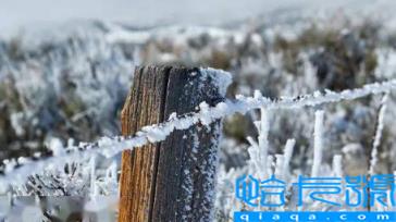 2023年春节过后还有寒潮吗(春节过后寒潮什么时候能结束)