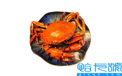 青蟹的钳子掉了还能吃吗(青蟹掉了的脚还能吃吗)