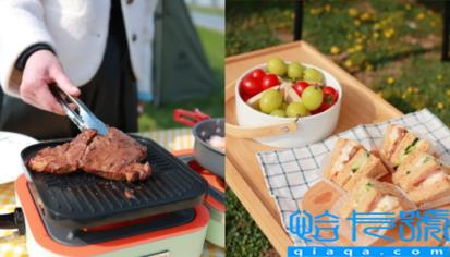 武汉府河湿地公园可以烧烤吗(武汉府河湿地公园有厕所吗)