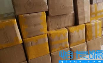 2023春节期间能寄快递吗(春节期间初几才能寄快递回家)