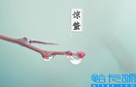 惊蛰节气的特点和风俗(惊蛰节气吃什么传统美食)