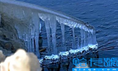 2023年南方春节会不会有寒潮(2023年南方过年气温多少度)