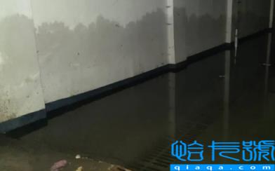 车库漏水物业负责吗(车库漏水物业不管找哪个部门投诉)