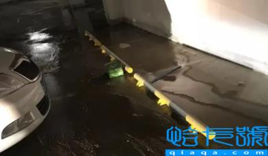 车库漏水物业负责吗(车库漏水物业不管找哪个部门投诉)