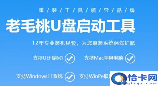u盘设置pe盘(u盘设置pe)