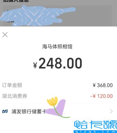 湖北商场消费券可以用海马体吗(湖北商场消费券支付海马体攻略)