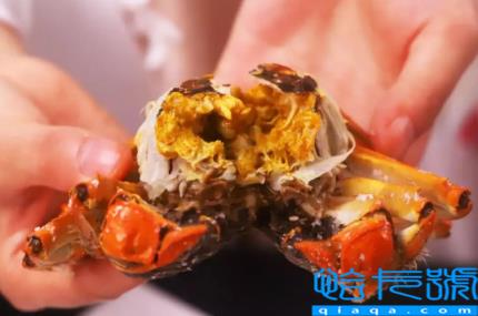 蒸螃蟹蟹黄不凝固还有点苦怎么回事(为什么螃蟹黄是苦的没有凝固)