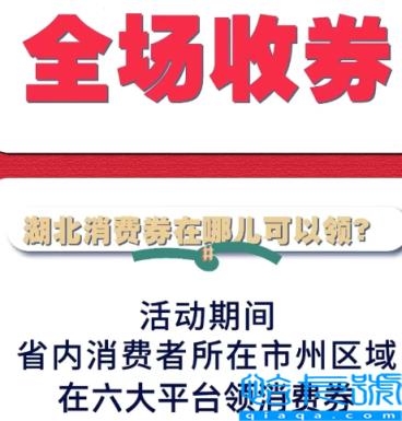 湖北消费券怎么卖给别人(通过湖北消费券赚钱是真的吗)