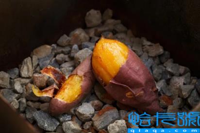 空气炸锅烤红薯200度烤多少分钟(空气炸锅烤红薯200度烤多长时间)