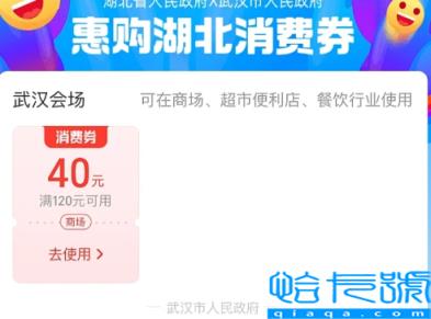 湖北超市消费券盒马可以用吗(湖北超市消费券美团怎么用)