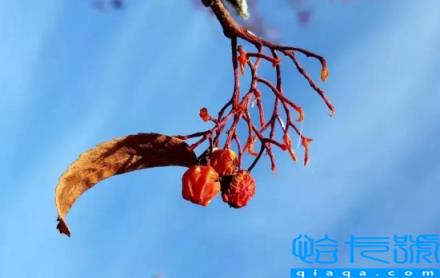 2022年立冬天坑在哪个方位(2022年立冬天坑在什么位置)