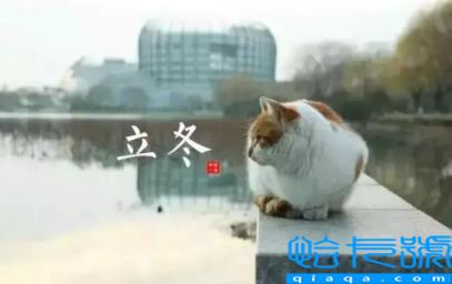 2022年立冬天坑在哪个方位(2022年立冬天坑在什么位置)