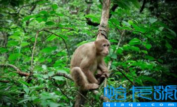 2022年武功山十月底天气会好吗(十月底去武功山如何穿衣)