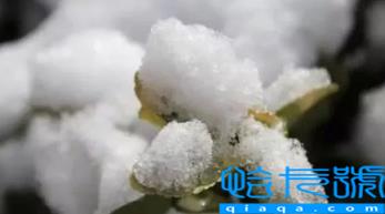 2023春节过后会倒春寒吗(倒春寒一般发生在几月)