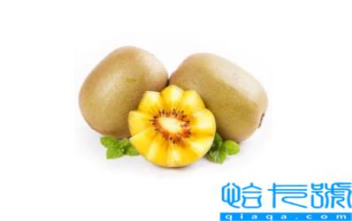 猕猴桃和桃子放一起能催熟吗(桃子能催熟猕猴桃吗)