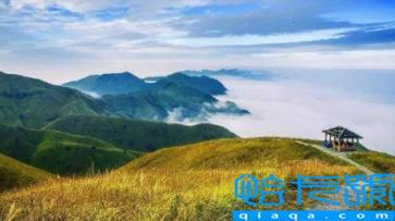 武功山从山下爬到金顶需要多久(去武功山玩一天够不)