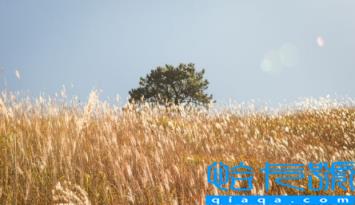 武功山星空帐篷酒店在山上还是山下(武功山星空帐篷酒店离金顶有多远)