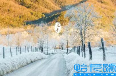 2022年立冬前搬家还是立冬后搬家比较合适(2022年立冬前后搬家好不好)