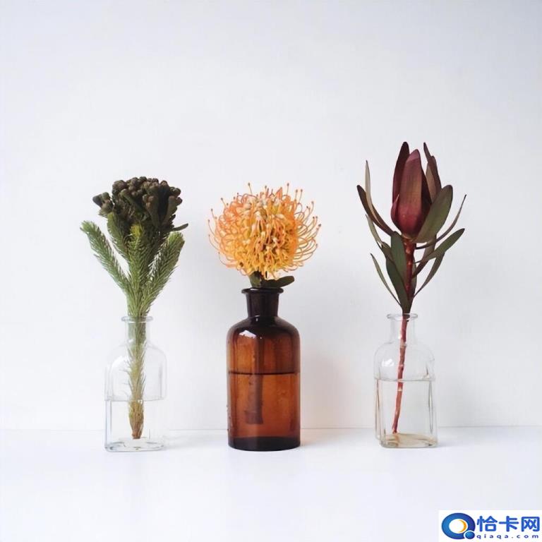 晚安文案有哪些(经典晚安文案合集)