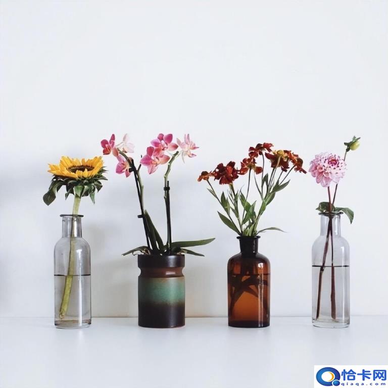 晚安文案有哪些(经典晚安文案合集)