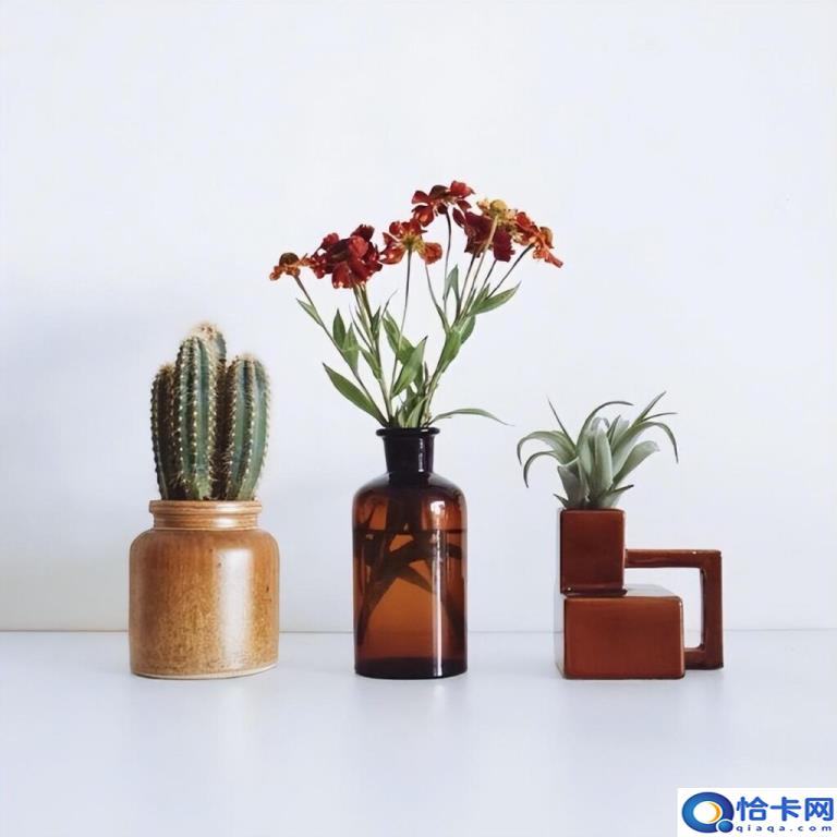 晚安文案有哪些(经典晚安文案合集)