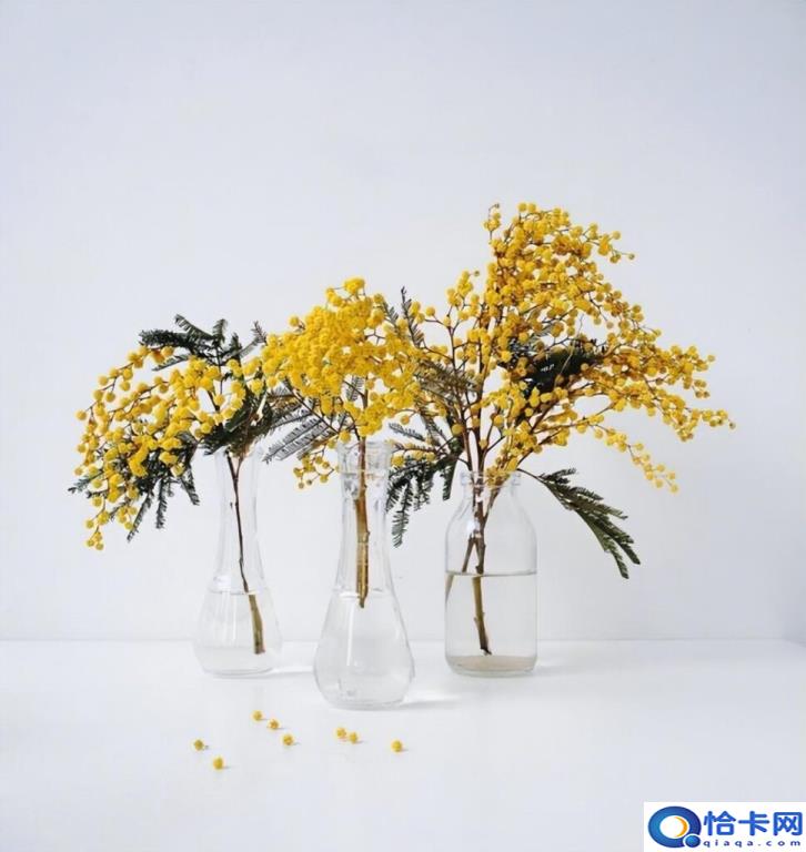 晚安文案有哪些(经典晚安文案合集)