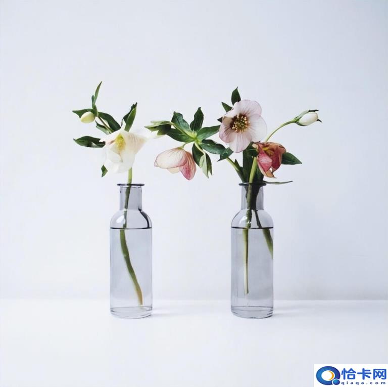 晚安文案有哪些(经典晚安文案合集)