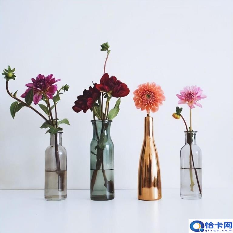 晚安文案有哪些(经典晚安文案合集)