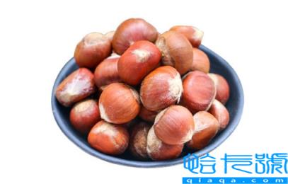 鲜板栗怎么保存不坏不招虫子(生板栗怎么保存时间最长)